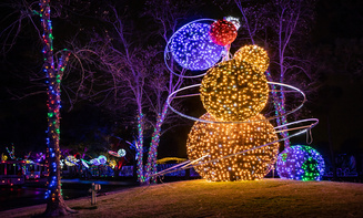 Affordable holiday lights limo rental in Evergreen, CO